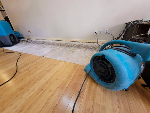 Professional Water Removal technician working in Plymouth, NH